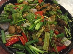 -张记旺角食街(动物园店)