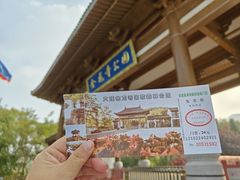 -金龙寺国家森林公园