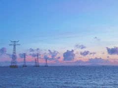 -宝安西湾红树林湿地公园