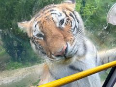 -栾川竹海野生动物园
