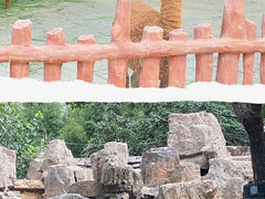 -上海野生动物园