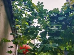 -缥缈峰景区