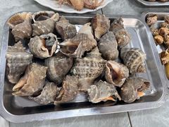 清蒸大海螺-渔民船说·北塘海鲜·天津菜·海肠捞饭(北塘古镇店)