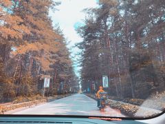 -帽儿山国家森林公园