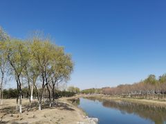 -大兴滨河森林公园