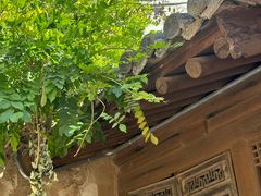 -胡氏古民居建筑