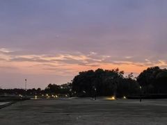 -春花秋色城市公园