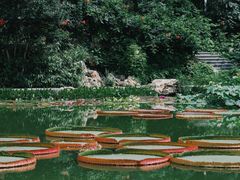 -国家植物园南园