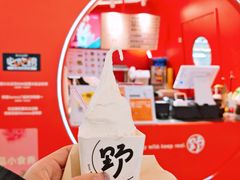 -野人先生现做冰淇淋(北京王府井东方新天地店)