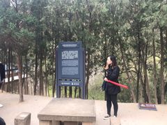 -延安杨家岭革命旧址