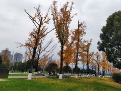 -重庆中央公园(渝北区)