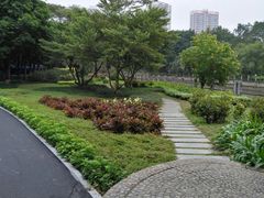 -晓港公园