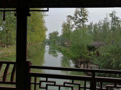 -合肥滨湖国家森林公园