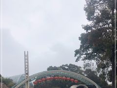 -南山植物园