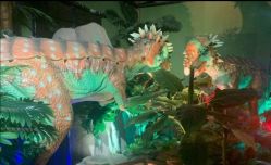 -恐龙探索乐园(磁器口店)