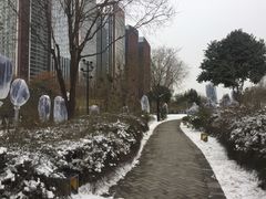 -唐城墙遗址公园