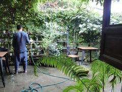 -植觉