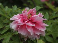 -陕西师范大学(雁塔校区)