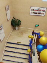 -碧莲盛·不剃发植发