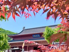 -横山寺