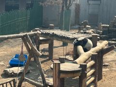 -棋盘山风景区
