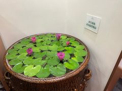 -第六季自助餐厅(北太平庄店)
