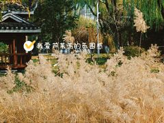 -济南国际园博园