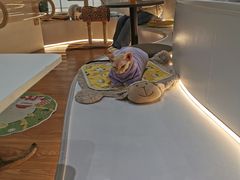 -COLOR PETS 撸猫馆·购猫·猫咖(长风大悦城店)