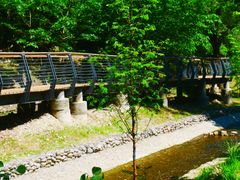 -白水寺森林公园