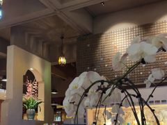 -翡翠鸟精品泰国菜(北辰财富中心店)