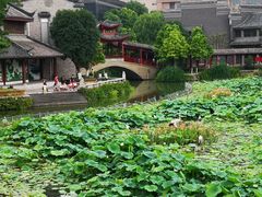 -龙潭水乡
