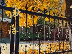 -天津五大道文化旅游区