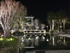 -鹭江潮餐厅•福建菜(佲家店)