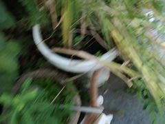 -龚家花园农家乐休闲别墅