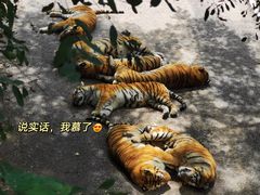 -大连森林动物园