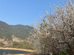-广州市流溪河国家森林公园