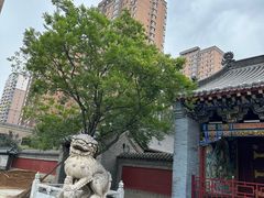 -护国法轮寺