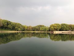 -新洲生态园