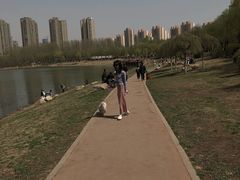 -丁香湖公园