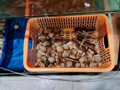 -Sasa的海(蜈支洲岛后海店)