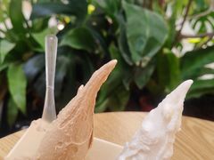 -野人先生Gelato(上海长宁龙之梦店)