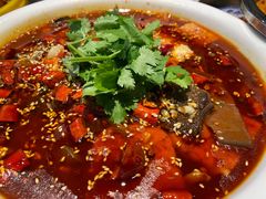 毛血旺-肖四女乐山跷脚牛肉(世博源店)