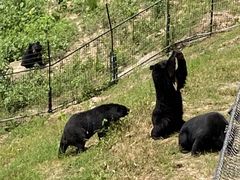 -大连森林动物园