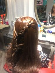 点击看大图 -金棕榈