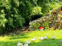 -HERRE·FARM 赫尔露营农场·团建聚会包场