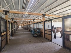 -北京群众马术培训基地