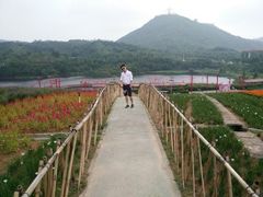 android_upload_pic-东部华侨城