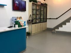 -贝利宠物医院·骨科·眼科·肿瘤转诊中心(南坪诊疗中心)