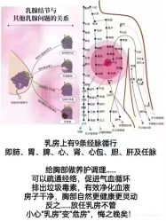 -YESIDO椰岛美容