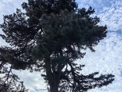 -秦岭终南山世界地质公园翠华山景区